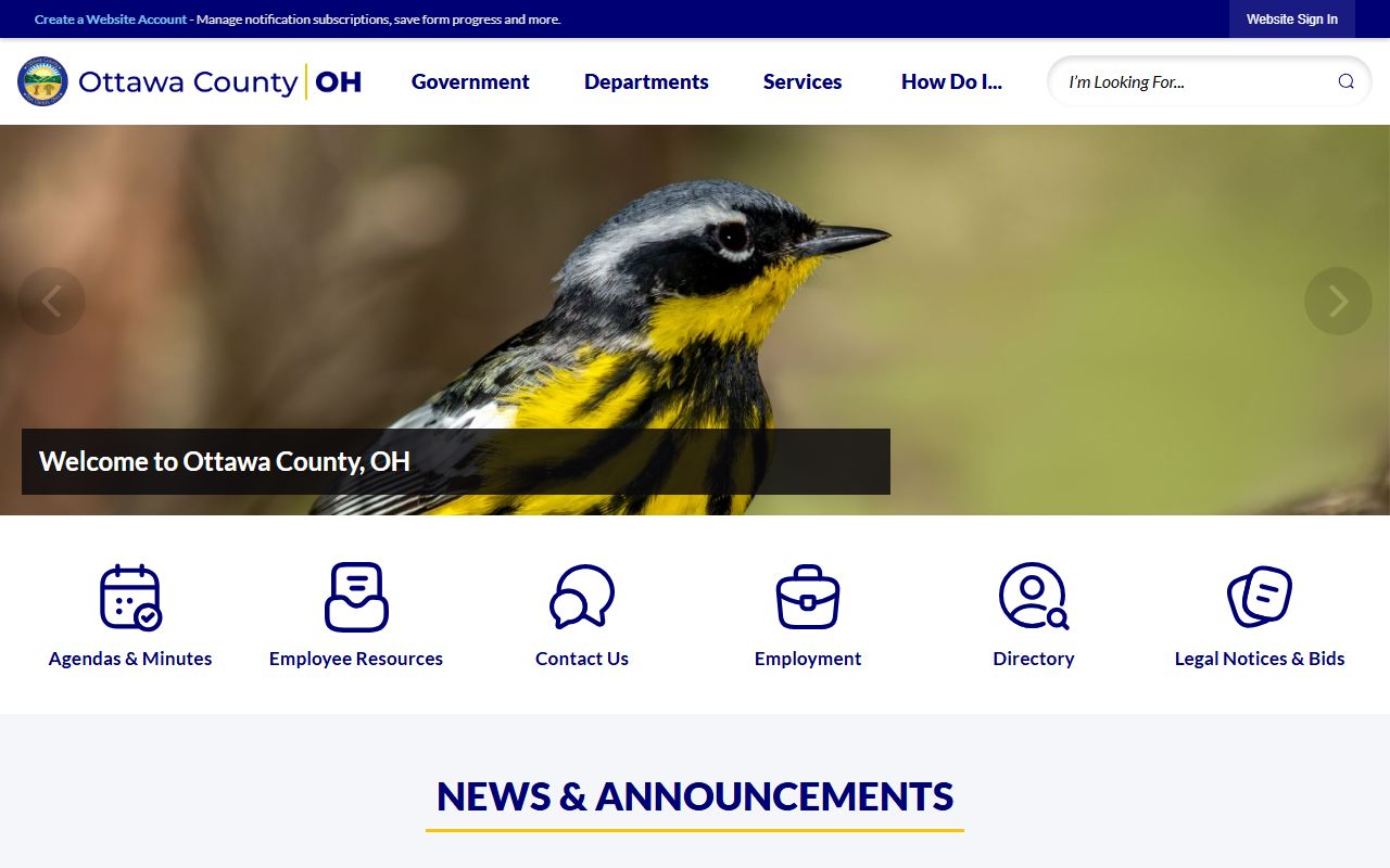 Ottawa County government website for court records access