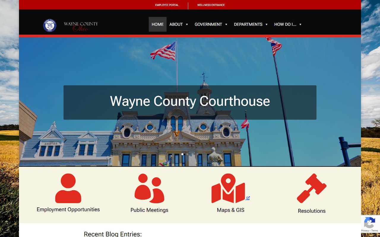 Wayne County government website showing department links and county services
